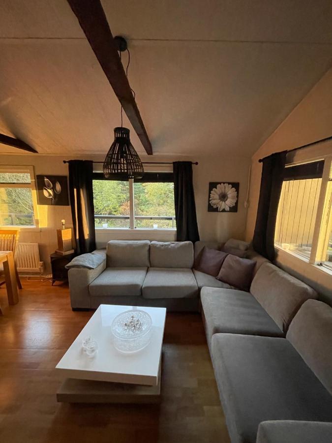 Thingvallavatn Lake Cottage Σέλφος Εξωτερικό φωτογραφία